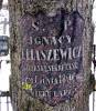 Grave on the tree of Ignacy Eliaszewicz, died 6 VI 1896